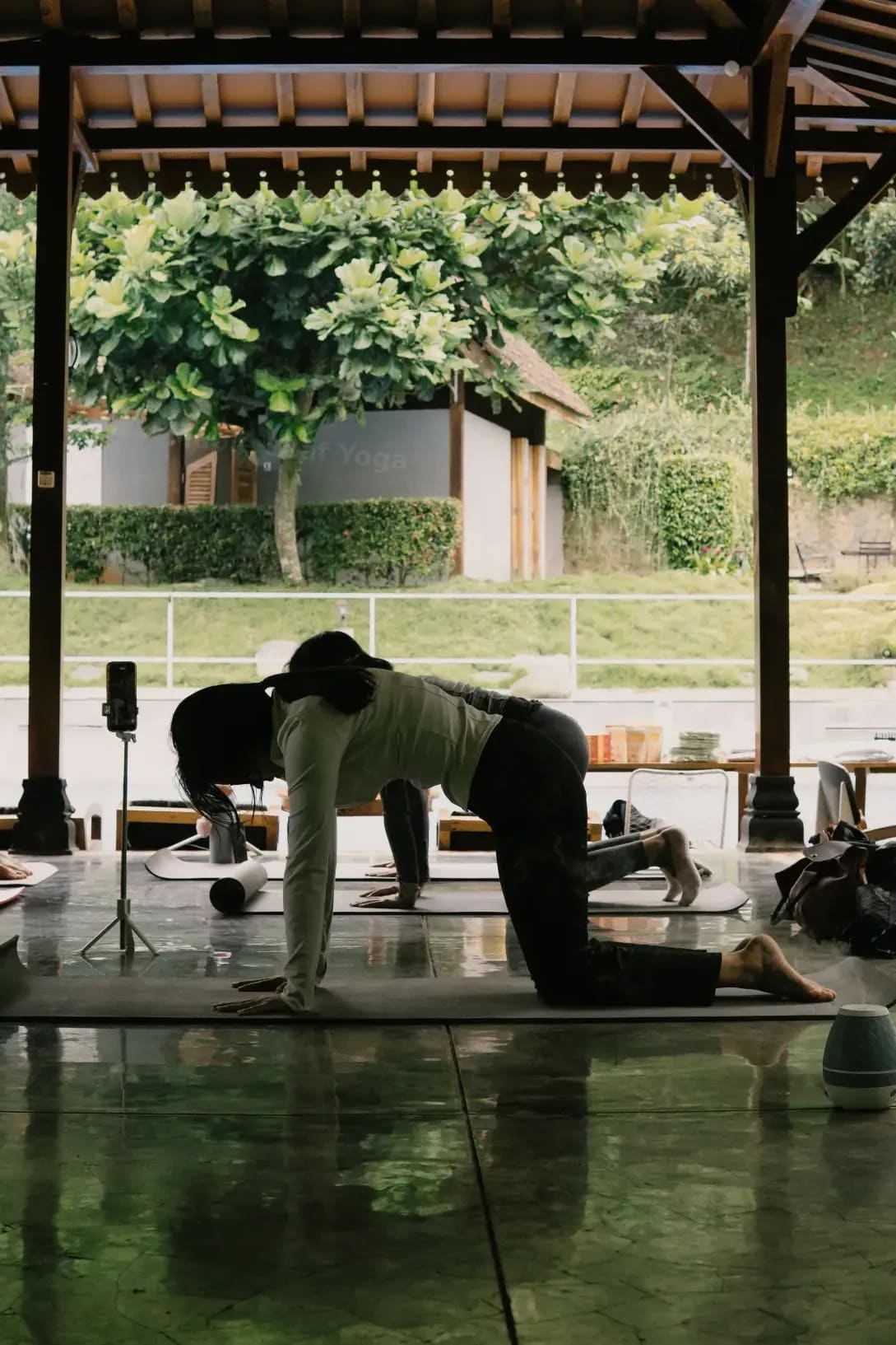 Maple Leaf Yoga 4